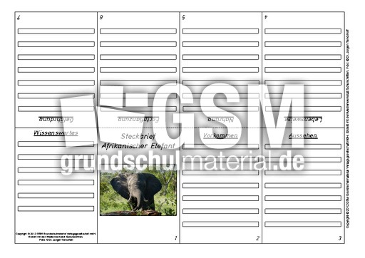 Faltbuch-Steckbrief-Afrikanischer-Elefant-1.pdf